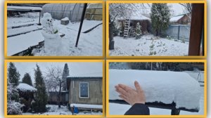 Рано обрадовались! Заметает снегом в апреле.  Новые гости.