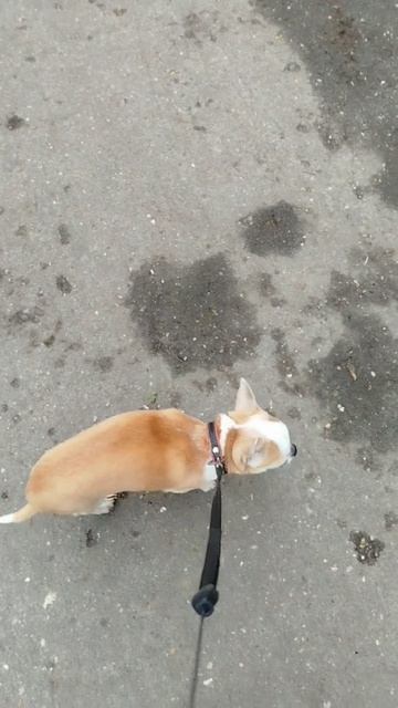 Video_2026-04-30_15-29-00