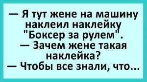 Я жене на машину сделал наклейку «Боксер за рулем». Зачем ей? | Анекдоты смешные | Юмор