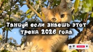 танцуй если знаешь этот тренд 2026 года