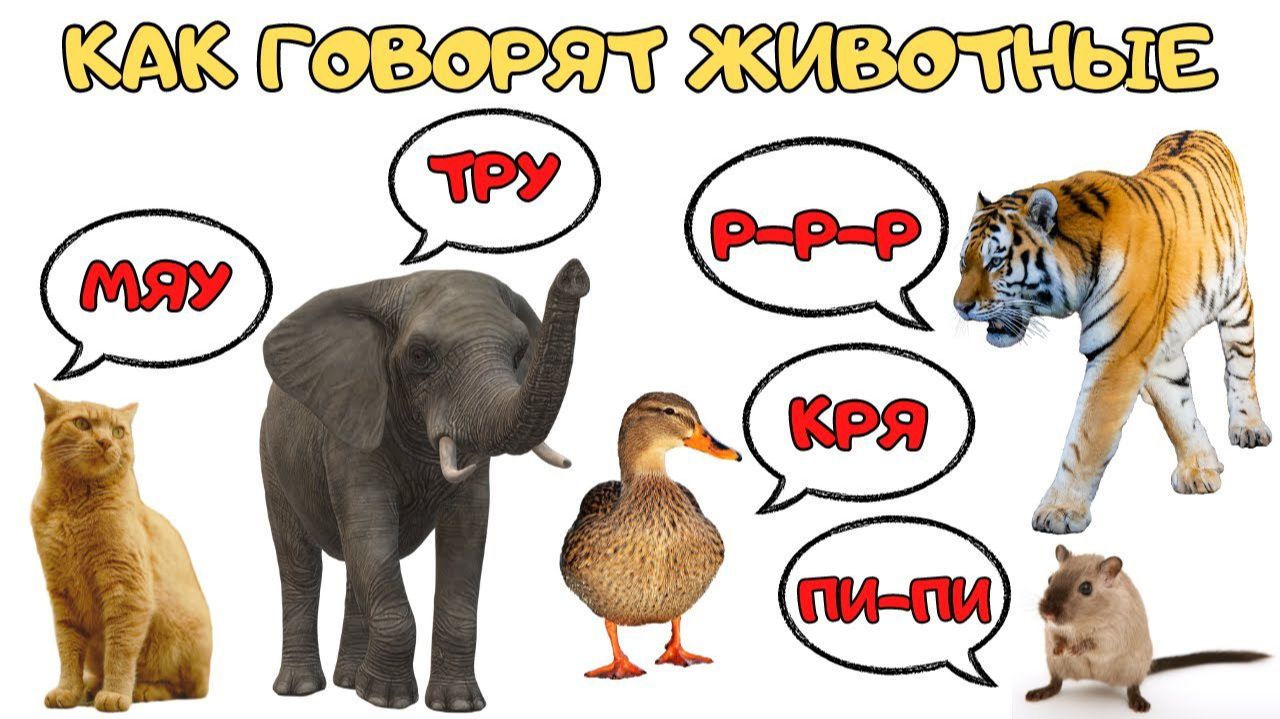 Звуки животных Звукоподражания Как говорят животные