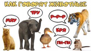 Звуки животных Звукоподражания Как говорят животные