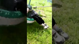 гуляем и развлекаются в месте с командой