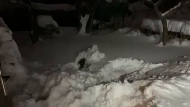 После русской бани в снег