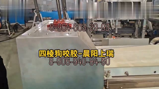 Линия по производству жевательных лакомств для животных (80-120 кг/ч)