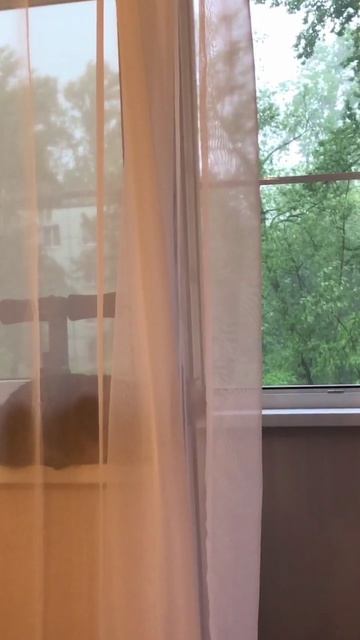 Симба и Фунтик под отрывок моей авторской песни 2003 г.