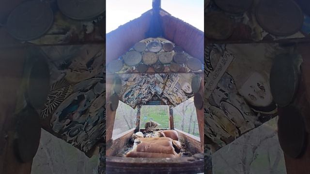 1000016633.mp4Жизнь кормушки.30.04.2026г.