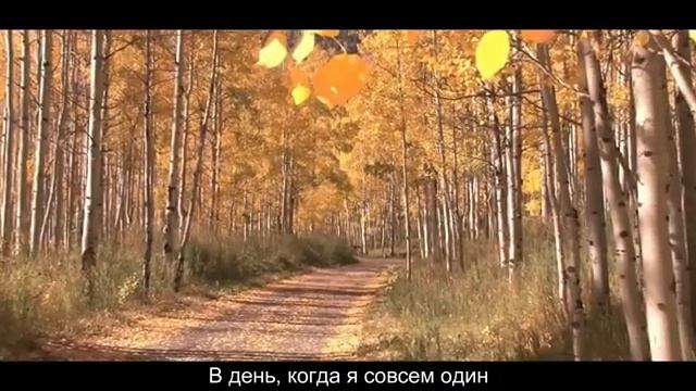 Михаил Шуфутинский - 3-е Сентября Remix