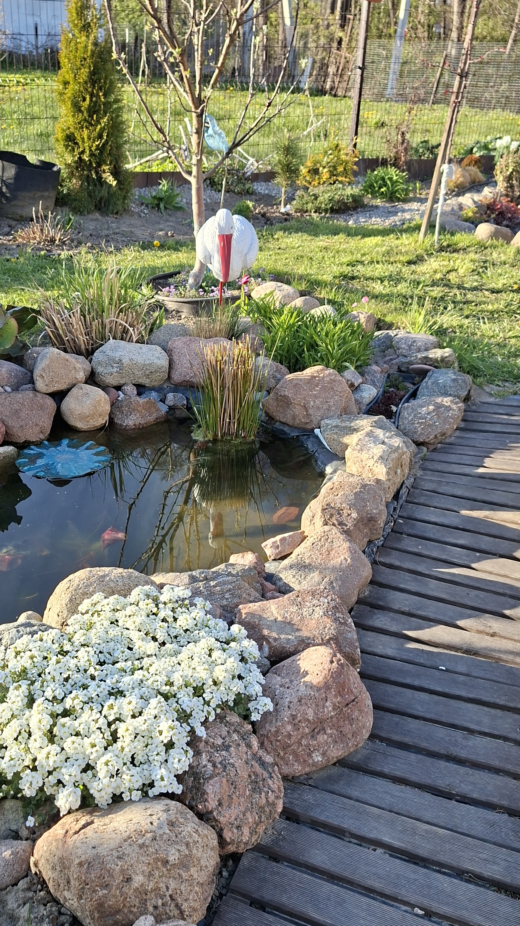 Одна из самых красивых  зон моего сада💚