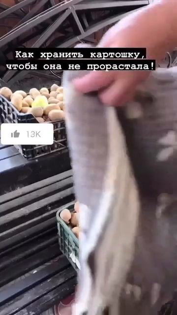 Дача своими руками.