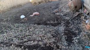 Работы с каждым днём всё больше. Жизнь в деревне.