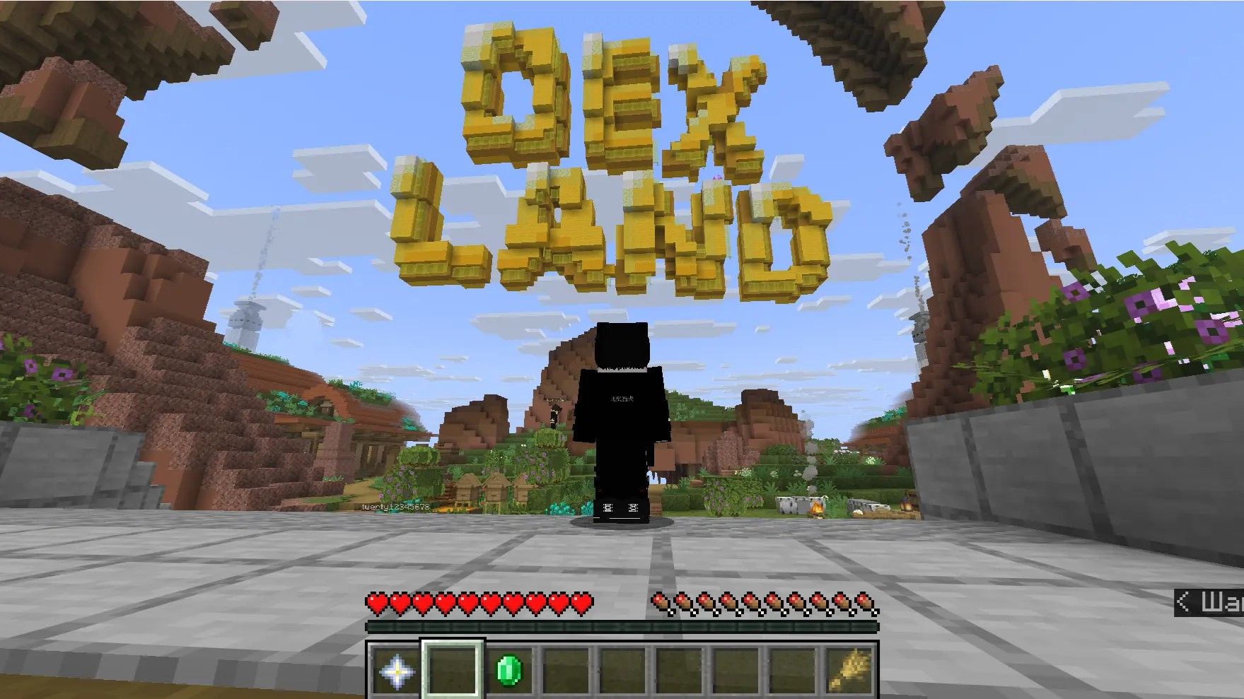 Играю на Dexland с кланом полный хаос разнос