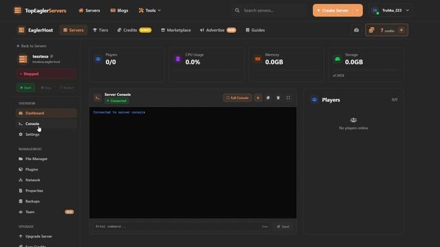 Мини гайд как быстро создать сервер на Eagler.Host