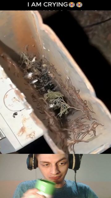 Попробуй не испугаться...