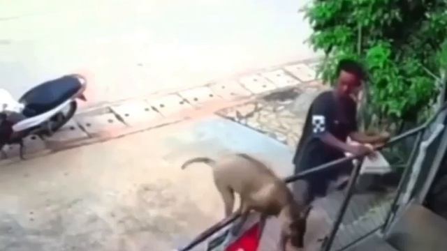 Когда должен охранять объект, но ты отошёл по своим делам на минутку... 😂 😂 😂