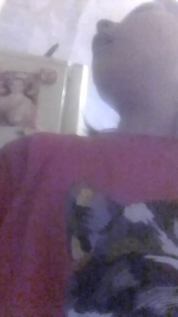 откуда кошка