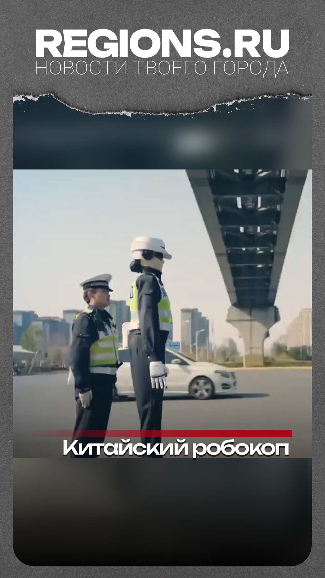 Китайский робокоп