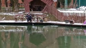 Запуск флрели и поимки.