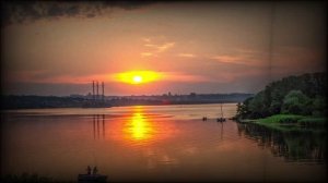 Плачущая ива