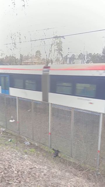 иволга с быстрым разгонам