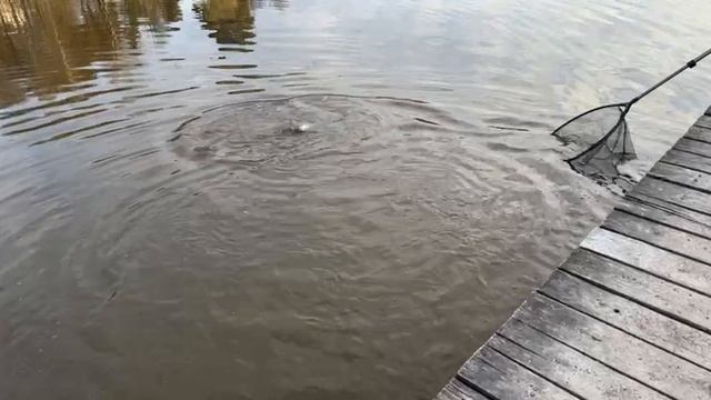 Вечер.Поимка Форели.Основной водоём