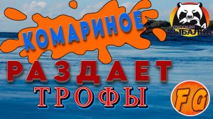 КОМАРИНОЕ РАЗДАЕТ ТРОФЕЕВ. Русская рыбалка 4. рр4. Russian Fishing 4
