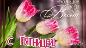 ПЯТНИЦА, ПЯТНИЦА, ПЯТНИЦА... ДОБРОГО ВЕСЕННЕГО УТРА