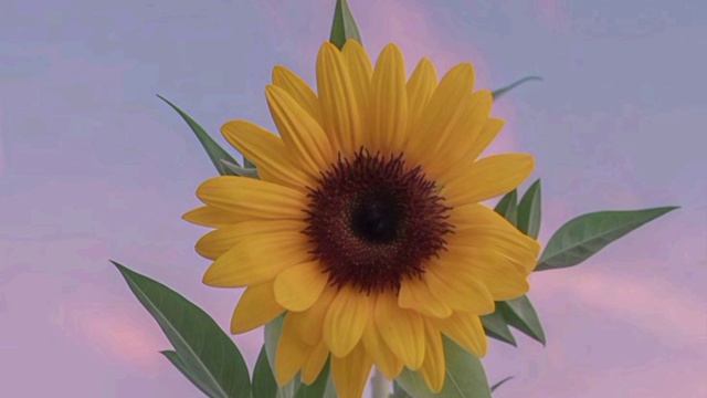 сеанс рейки для исцеления причин лишнего веса.6сеанс исцеление насилия