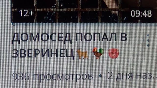 ОБРАЩЕНИЕ  К АВТОРУ💥ПОЙМАЛ  ДОДМОСЕДА В ЗВЕРИНЕЦ💥 ПОДПИШШИСЬ💯Г