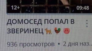 ОБРАЩЕНИЕ  К АВТОРУ💥ПОЙМАЛ  ДОМОСЕДА В ЗВЕРИНЕЦ💥 ПОДПИШШИСЬ💯Г