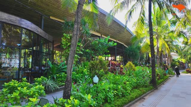 Прогулка по пляжу Санур на Бали🌴 Спокойное и умиротворяющее утро на берегу океана