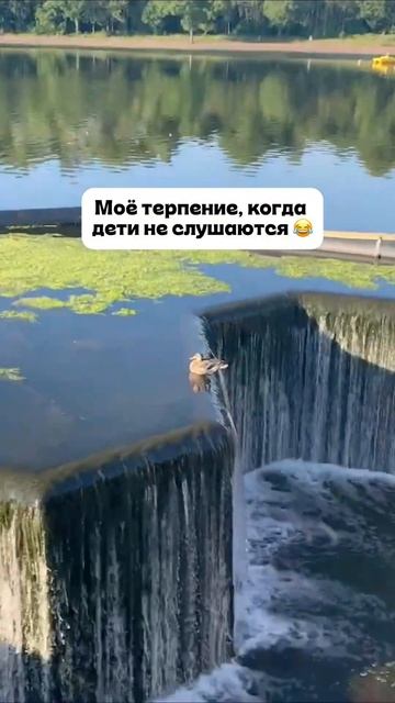 Подписывайся 👌🤣 #юмордлямам #юморвдекрете #семейныйюмор #мамскийюмор #мамаюморист