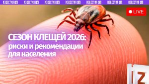 Сезонную активность клещей и меры профилактики обсудят в пресс-центре МИЦ «Известия»