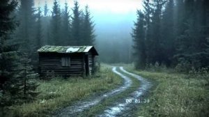 ТАЙГА. Бывший Егерь ПРЕДУПРЕЖДАЕТ в Глухой Русской Тайге живут ЧУДОВИЩА.