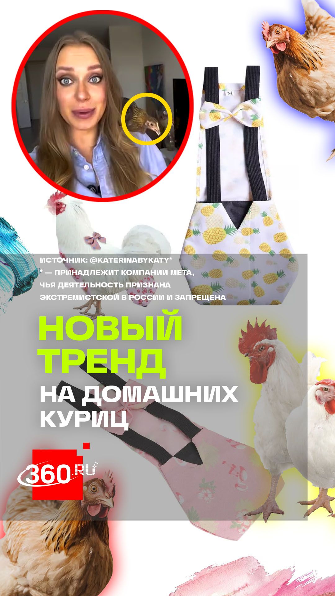 Новый тренд: курица как домашний питомец. Кошки и собаки уже не в моде?