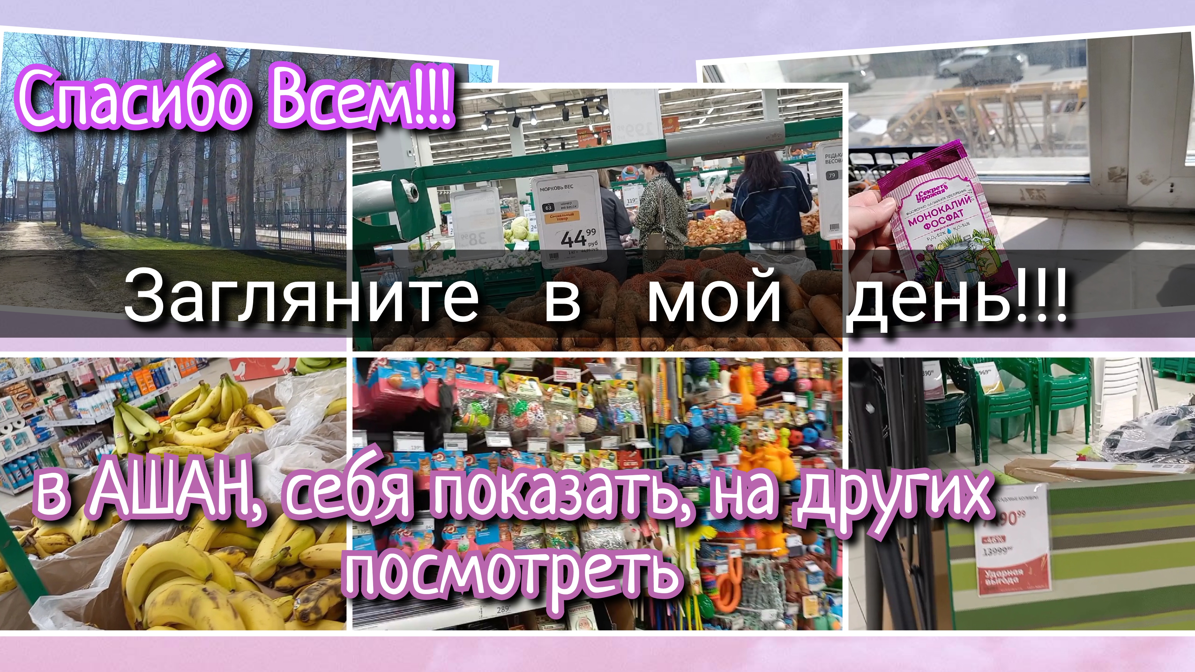 Загляните в мой день//в АШАН, цены