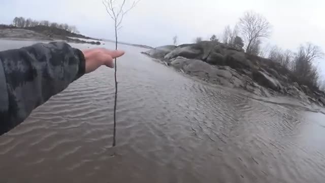 ЛЁД РАСТАЯЛ! ЧТО СЕГОДНЯ ПОПАДЁТ В МОРСКУЮ ЛОВУШКУ НА КОЛАХ ИЗ СЕТОК?