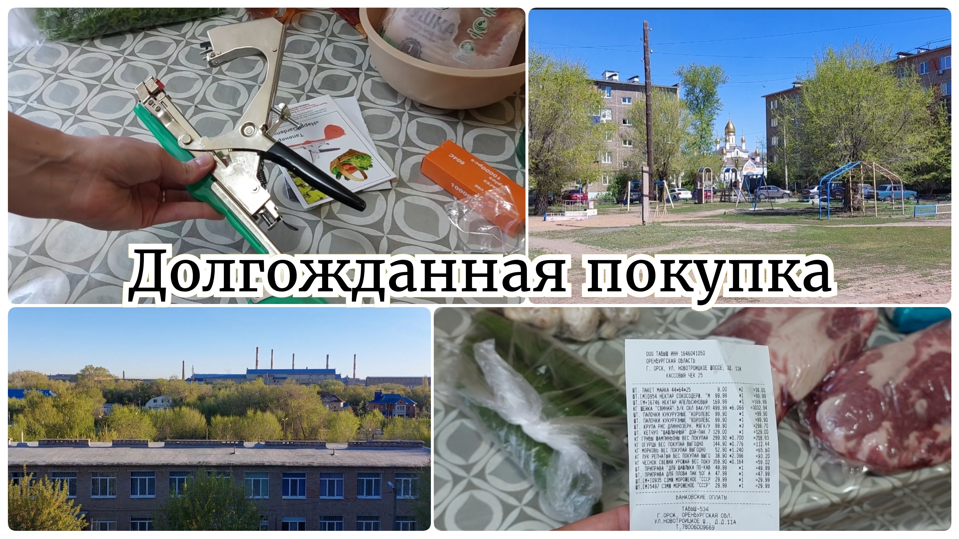 Разные Покупки   Навела порядок на кухне  Находка для сада и огорода  Понравились туи и ёлки