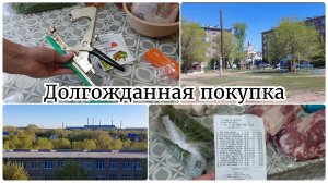 Разные Покупки 🔥 / Навела порядок на кухне / Находка для сада и огорода / Понравились туи и ёлки