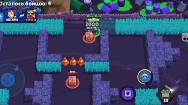 Brawl Stars. Кит до 1000 кубков, 1