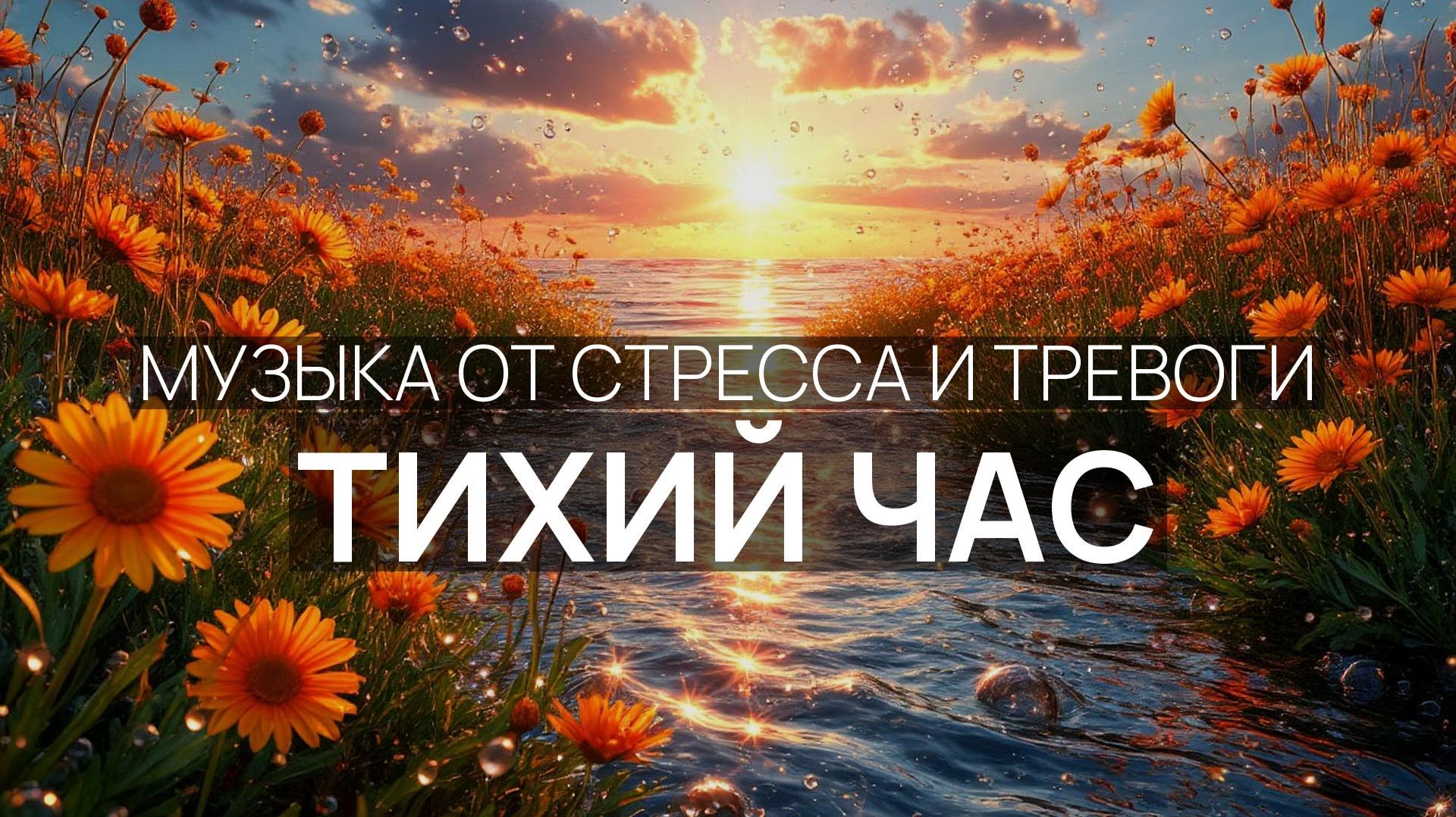Тихий час 🌅 Шум приливов 🕊️ Золотые лучи ✨