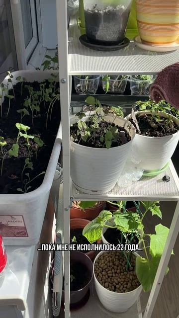 Зачем нужны фульвокислоты?