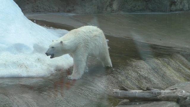 ДО ВСТРЕЧИ!.Видео Татьяны Крестьянсковой