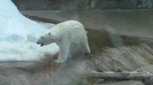 ДО ВСТРЕЧИ!.Видео Татьяны Крестьянсковой