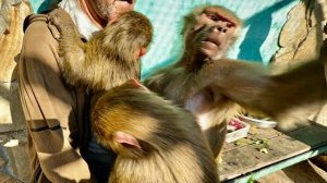 Я ТАК РАСХОХОТАЛАСЬ! Люська буквально ПРИКАЗАЛА УБРАТЬ РУКИ от неё, Анфисы и папы😅