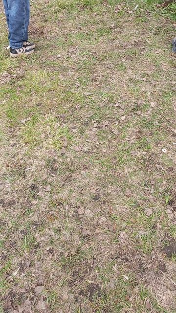 отбирают наши  ветки