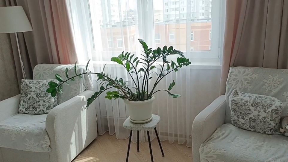 ЖДУ КУРЬЕРА. ГОТОВЛЮ ПОДАРОК ДЛЯ СЕСТРЕНКИ. И СЕБЯ ПОБАЛОВАЛА.