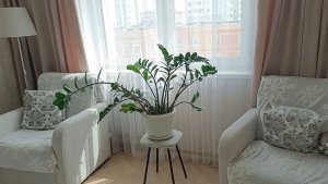 ЖДУ КУРЬЕРА. ГОТОВЛЮ ПОДАРОК ДЛЯ СЕСТРЕНКИ. И СЕБЯ ПОБАЛОВАЛА.