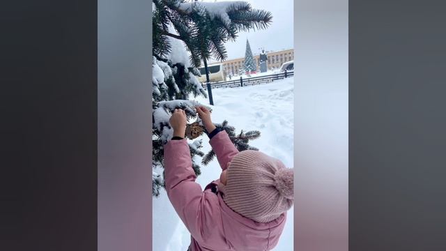 В рамках проекта 