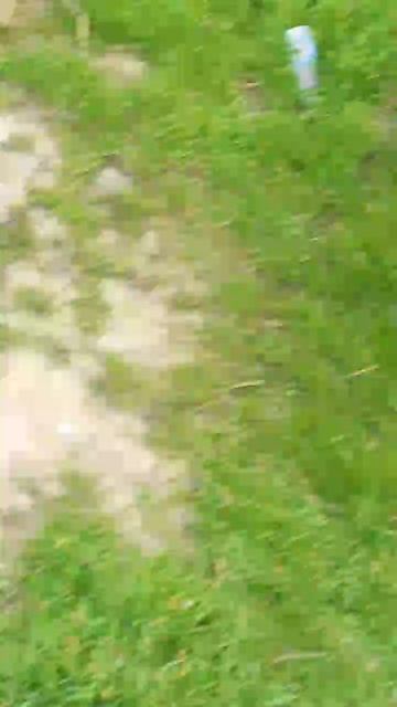 Дата: апреля 2026 года